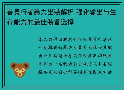 兽灵行者暴力出装解析 强化输出与生存能力的最佳装备选择
